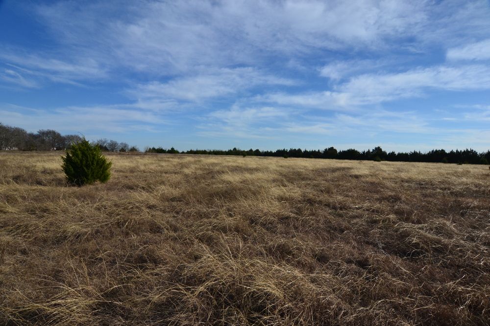 02 Airport Road, Rockwall, TX 75087